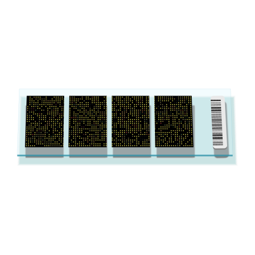 microarray_example.svg.png