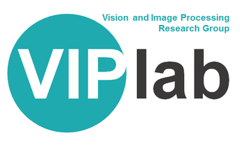 vip-logo